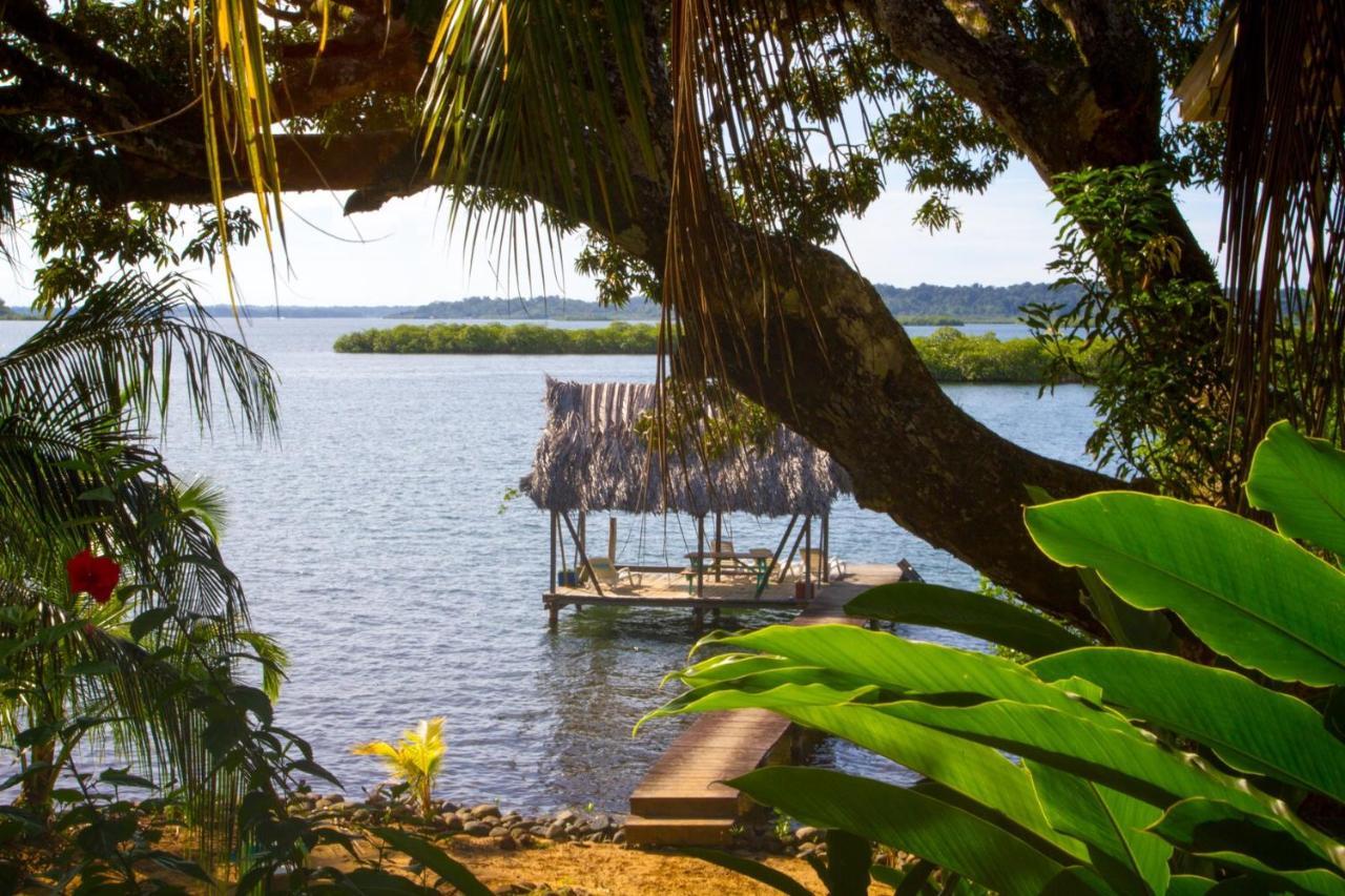 Los Secretos Guesthouse Bocas del Toro Exterior photo