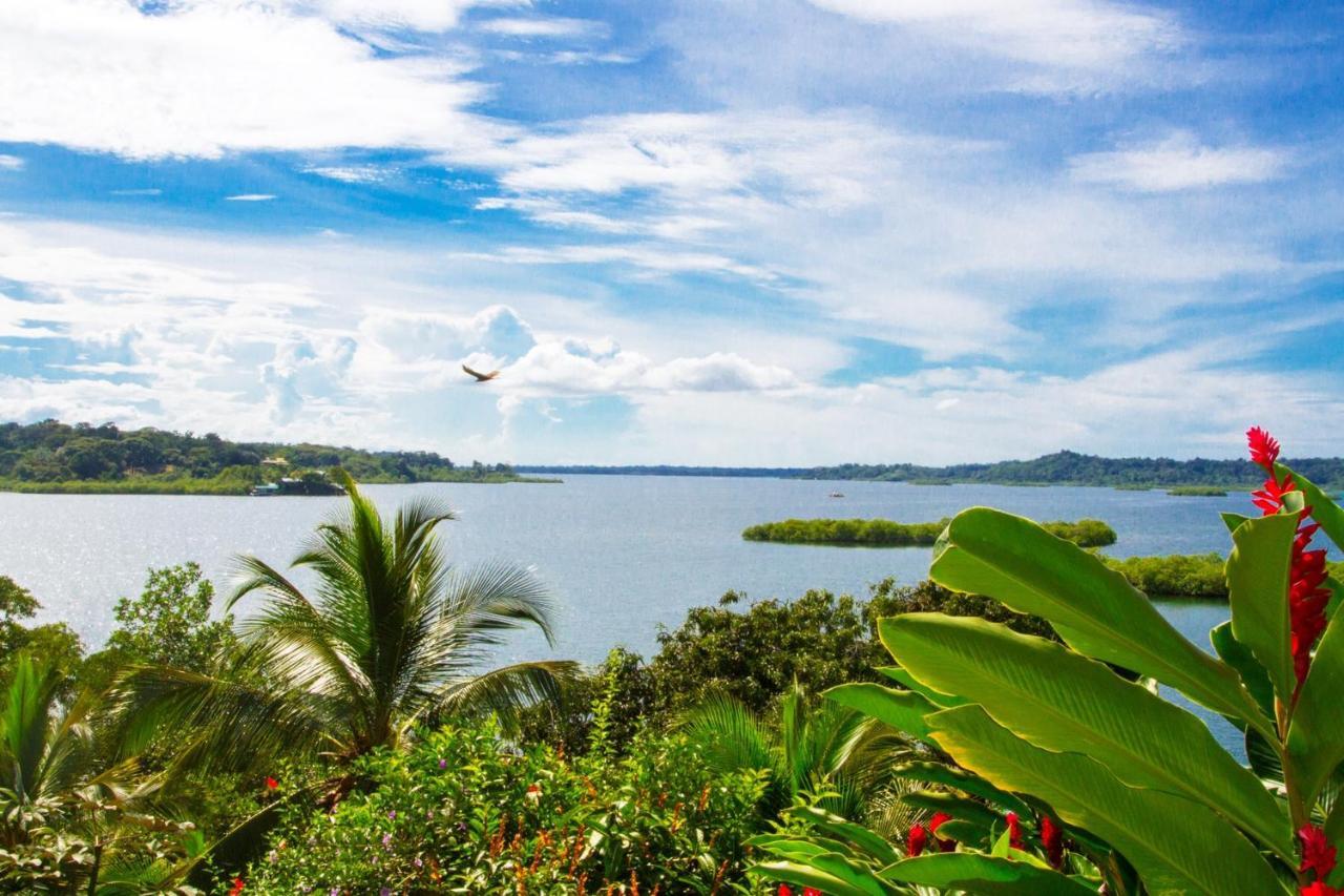 Los Secretos Guesthouse Bocas del Toro Exterior photo